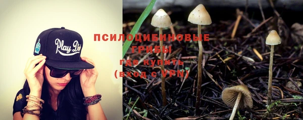 гидропоника Алзамай